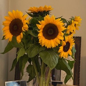 Meet your Posher, Joanne